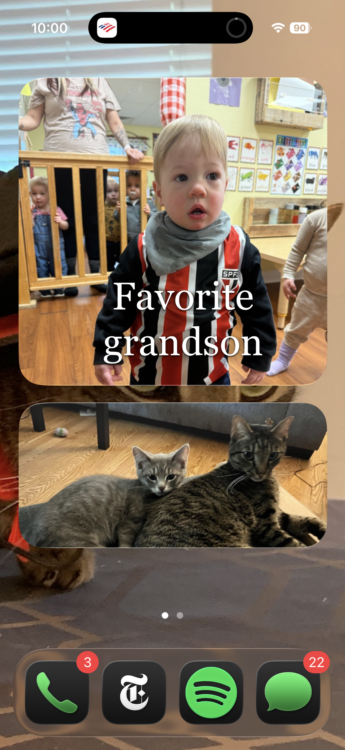 Quiggi screenshot 2